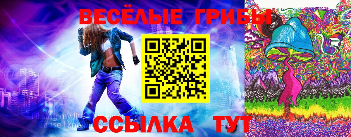 Галлюциногенные грибы GOLDEN TEACHER Дербент